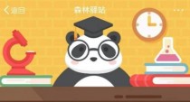 陕西山西湖南哪个省份有野生大熊猫生活？森林驿站12月4日答案