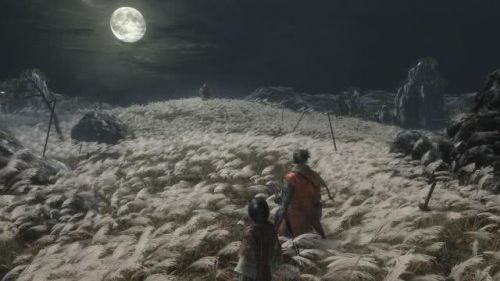 宫崎英高喜提年度游戏 《只狼》究竟有什么魔力