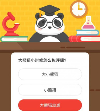 森林驿站大熊猫小时候怎么称呼呢？