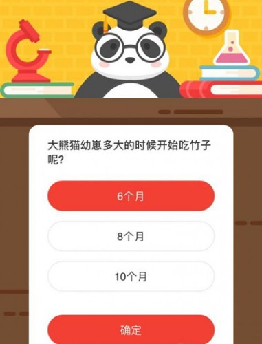 大熊猫幼崽多大的时候开始吃竹子呢？ 森林驿站11月5日答案