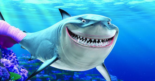 鲨鱼为什么一生都在换牙 蚂蚁庄园1月11日