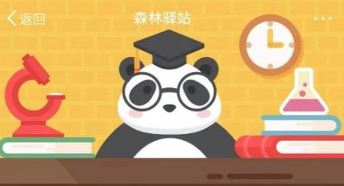 手游信息：大熊猫的耳朵是什么颜色？森林驿站2021年7月8日答案